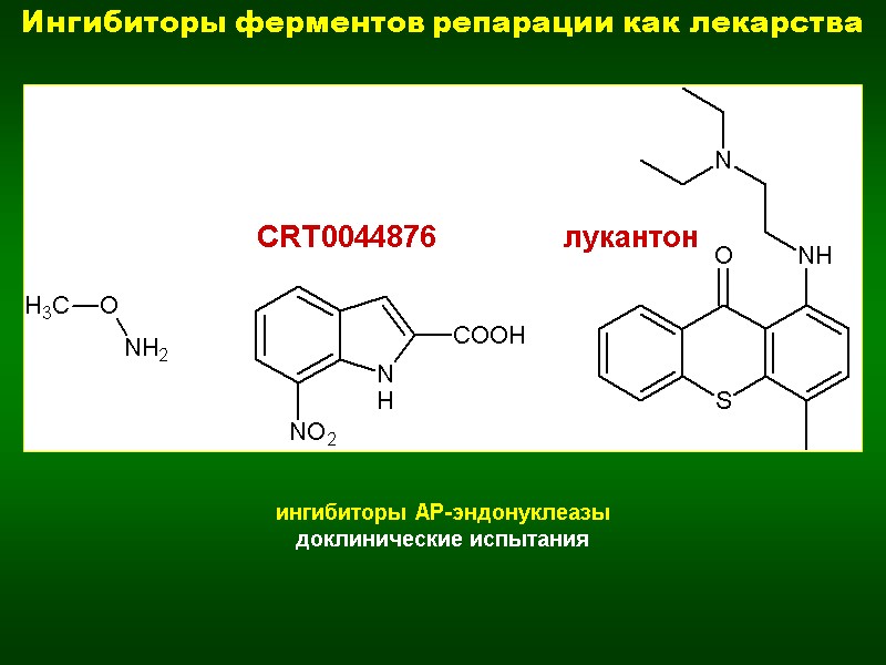 ингибиторы AP-эндонуклеазы доклинические испытания CRT0044876 лукантон Ингибиторы ферментов репарации как лекарства
